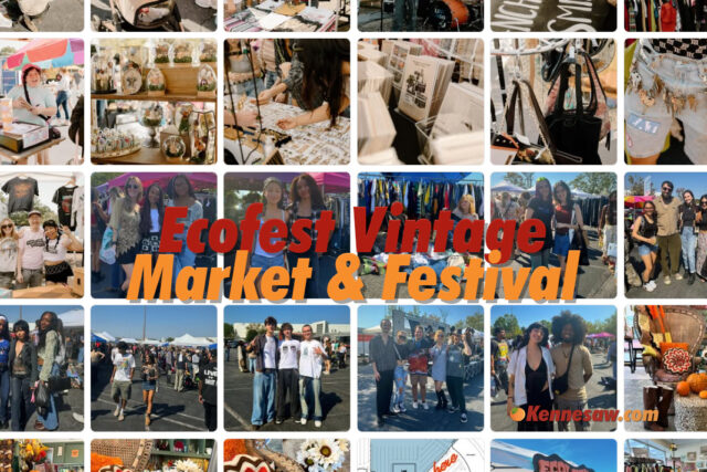 ecofest-vintage-market-festival